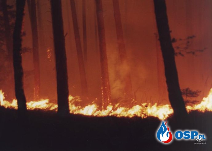 26 rocznica pożaru w Kuźni Raciborskiej. OSP Ochotnicza Straż Pożarna