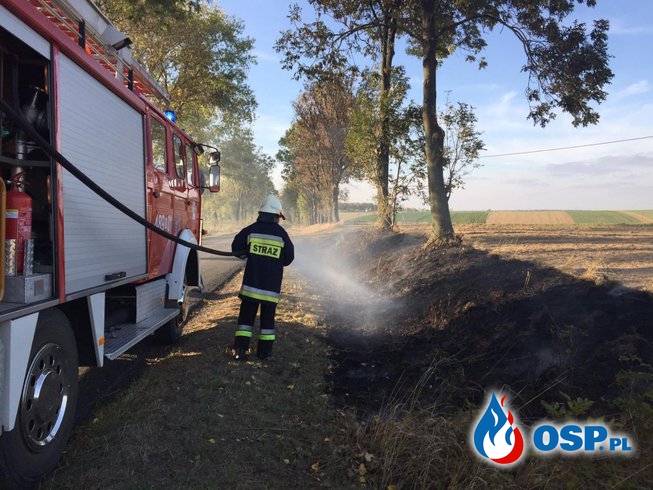 Pożar  suchej trawy na poboczu drogi OSP Ochotnicza Straż Pożarna