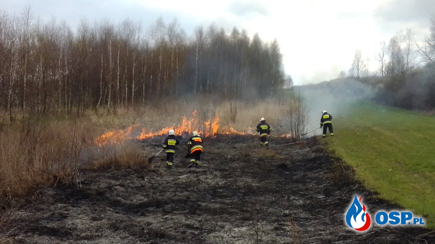 Pożar traw – Ryczów - droga na Wróblówki OSP Ochotnicza Straż Pożarna