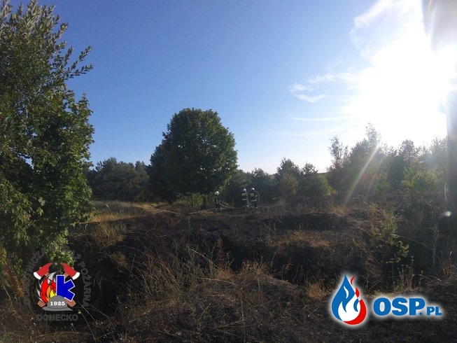 Pożar trawy i drzew na poligonie w Górkach OSP Ochotnicza Straż Pożarna