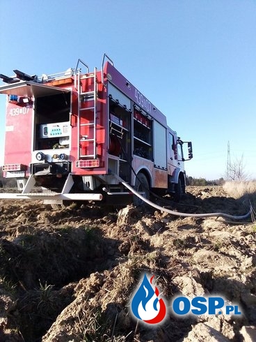 Tragiczny finał pożaru traw. Zginął 83-letni mężczyzna. OSP Ochotnicza Straż Pożarna