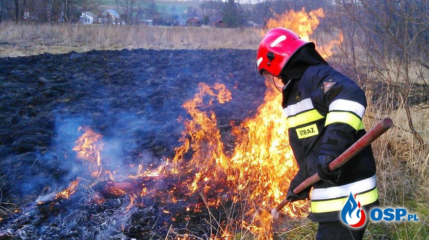 Konsultacje w sprawie ustawy o Ochotniczej Straży Pożarnej. ZOSP RP prosi strażaków o głos. OSP Ochotnicza Straż Pożarna