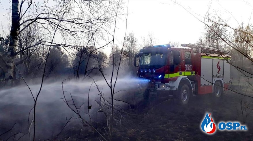 15 hektarów traw spłonęło pod Częstochową. W akcji śmigłowiec gaśniczy. OSP Ochotnicza Straż Pożarna