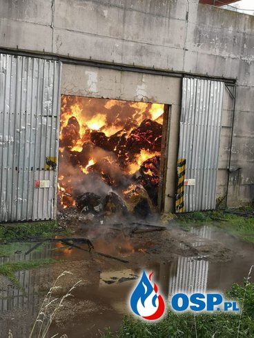 Polscy strażacy OSP brali udział w akcji gaśniczej w Czechach OSP Ochotnicza Straż Pożarna