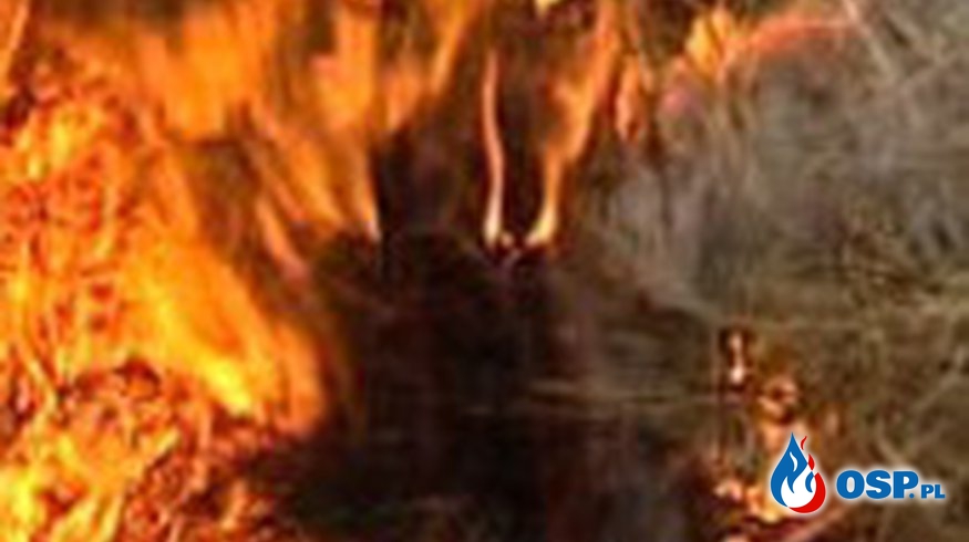 Pożar traw - 22 marca 2019r. OSP Ochotnicza Straż Pożarna