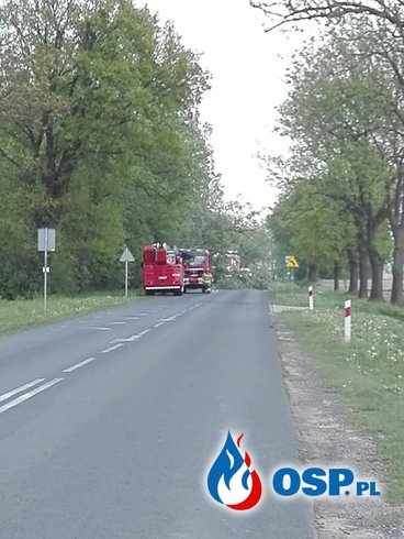 Przewrócone drzewo w miejscowości Makówiec! OSP Ochotnicza Straż Pożarna