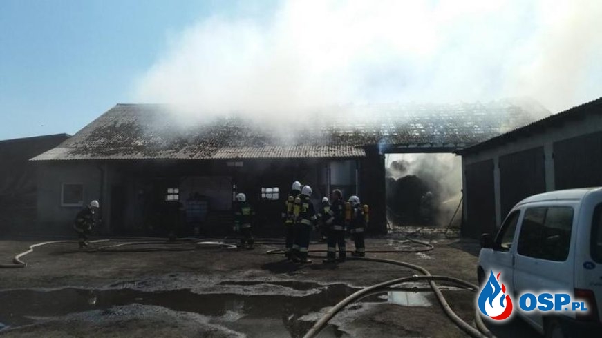 Trudna akcja gaśnicza w Zbiersku. 50 strażaków gasiło pożar w gospodarstwie. OSP Ochotnicza Straż Pożarna
