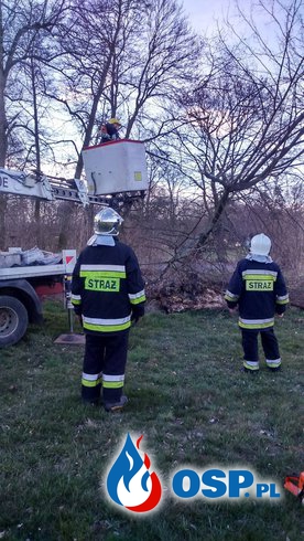 Zdarzenie Nr 5 Powalone drzewo na trakcje elektryczna . OSP Ochotnicza Straż Pożarna