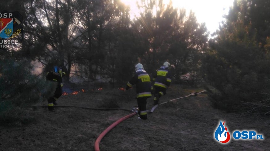 Pracowite dni naszych strażaków OSP Ochotnicza Straż Pożarna