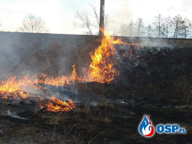 Kolejny pożar traw !!! OSP Ochotnicza Straż Pożarna