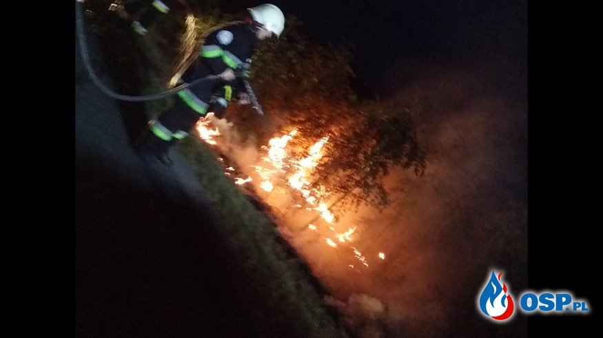 Pożar suchej trawy na trasie Biała-Kolonia Otocka OSP Ochotnicza Straż Pożarna