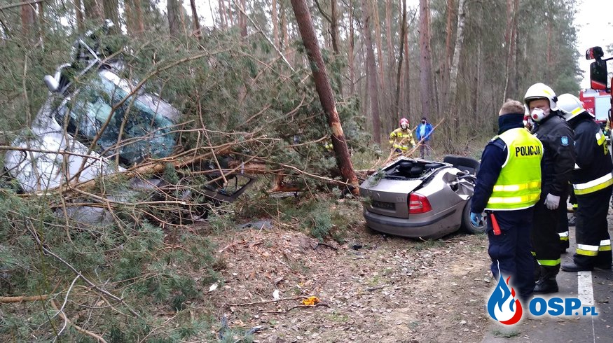 Auto rozpadło się na pół po zderzeniu z drzewem. Ranny 20-letni kierowca. OSP Ochotnicza Straż Pożarna