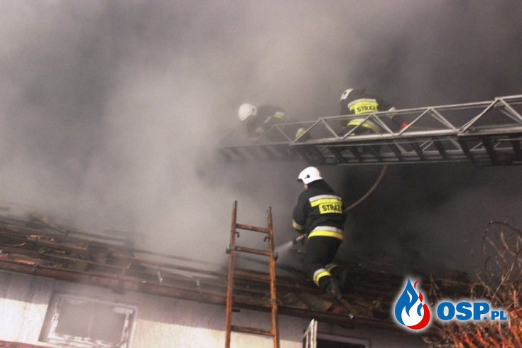 Pożar domu w Pieniężnie pozbawił dachu nad głową trzy rodziny. OSP Ochotnicza Straż Pożarna