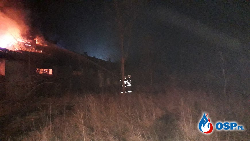 Pożar opuszczonej chlewni po raz drugi OSP Ochotnicza Straż Pożarna