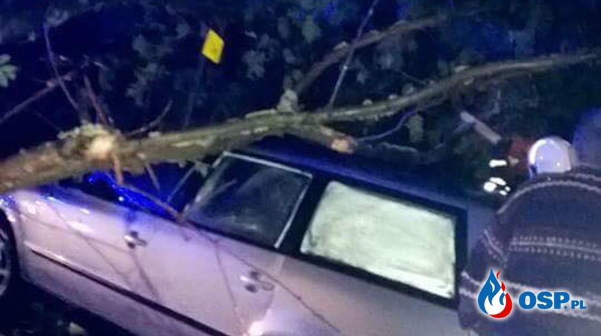 Samochód przygnieciony drzewem! Intensywne deszcze w Bieszczadach OSP Ochotnicza Straż Pożarna