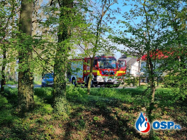 Pożar liści na terenie Parku przy Cmentarzu Żydowskim OSP Ochotnicza Straż Pożarna