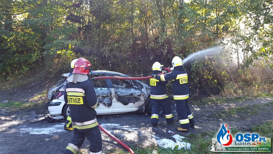 Dziwiszów: Pożar samochodu na Kapelli. OSP Ochotnicza Straż Pożarna