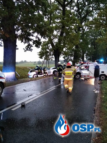 20-letni kierowca BMW zginął w czołowym zderzeniu pod Pasłękiem. Nie miał zapiętych pasów. OSP Ochotnicza Straż Pożarna