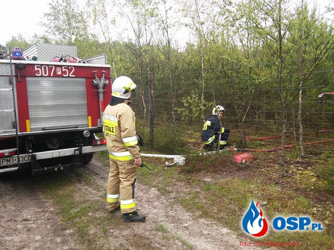 Ćwiczenia Puszcza 2017 OSP Ochotnicza Straż Pożarna