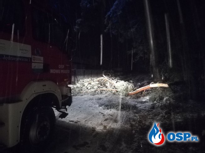 Połamane drzewo Nowe Miasto OSP Ochotnicza Straż Pożarna
