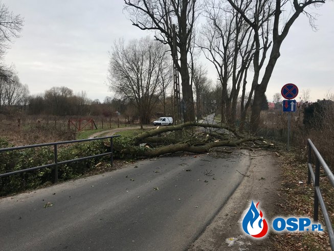 15/2021 Powalone drzewo zablokowało drogę OSP Ochotnicza Straż Pożarna