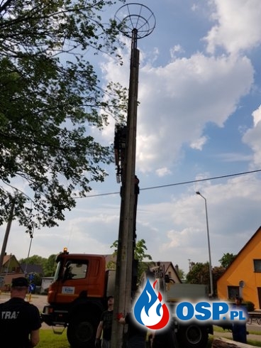 Akcja zniszczone bocianie gniazdo. OSP Ochotnicza Straż Pożarna