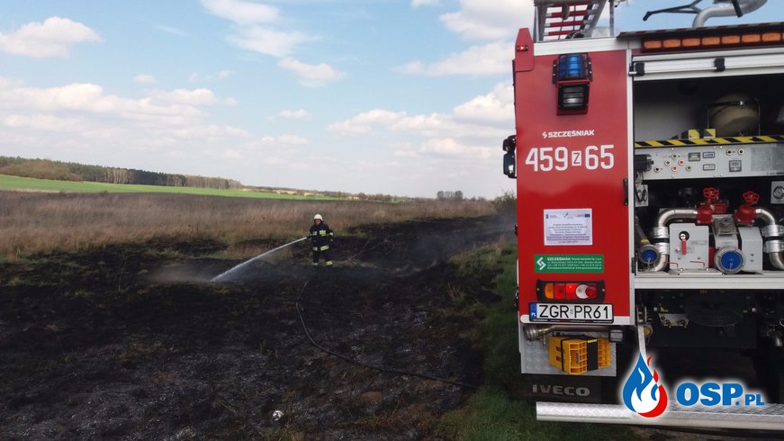 Pożar trawy na trasie Gądno-Witnica OSP Ochotnicza Straż Pożarna