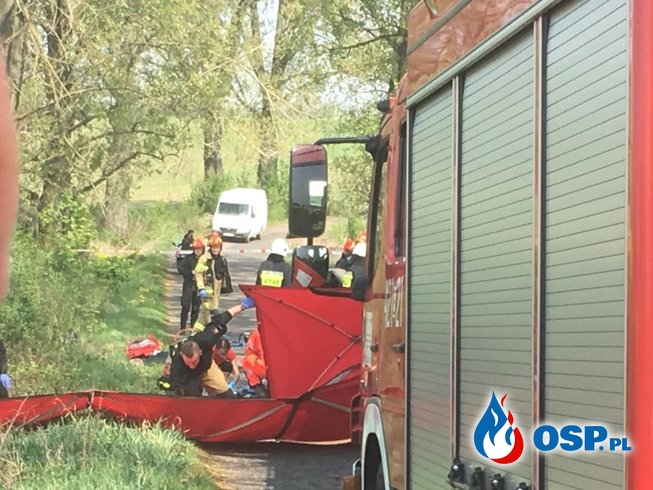 Dwie osoby zginęły w wypadku pod Kutnem. Samochód dachował i uderzył w drzewo. OSP Ochotnicza Straż Pożarna