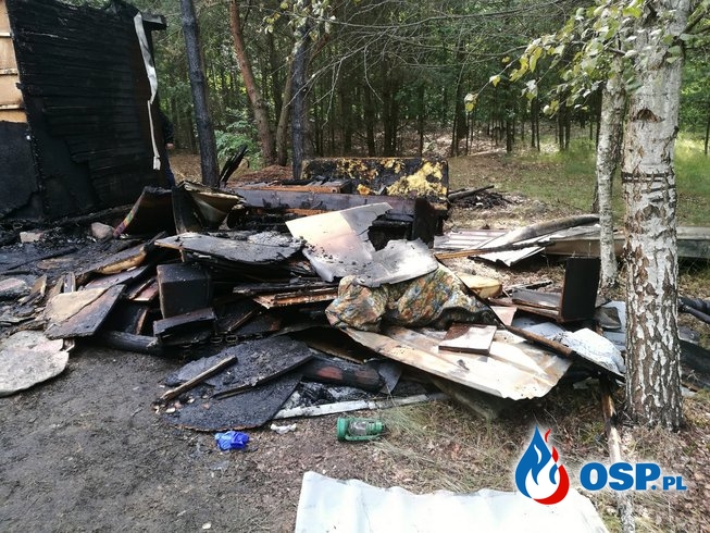 Tragedia na Mazowszu. Dwie osoby zginęły w pożarze domku letniskowego. OSP Ochotnicza Straż Pożarna