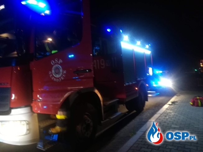 Kolizja drogowa w Glinojecku przy DK 60 OSP Ochotnicza Straż Pożarna