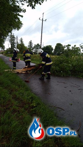 Połamane drzewa blokowały drogę OSP Ochotnicza Straż Pożarna