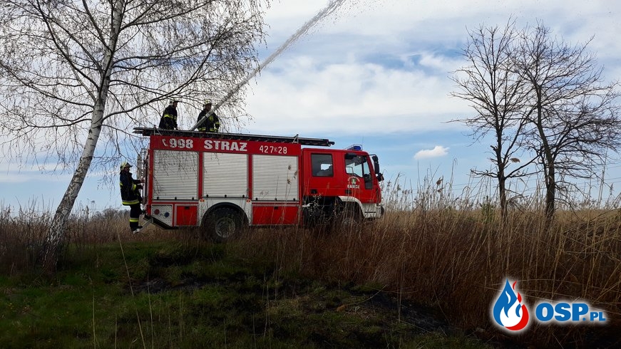 Pożar traw - ul. Staszica w Jankowicach OSP Ochotnicza Straż Pożarna