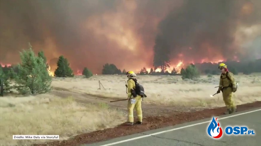 Amerykańscy strażacy podpalają trawy. By opanować pożar. OSP Ochotnicza Straż Pożarna
