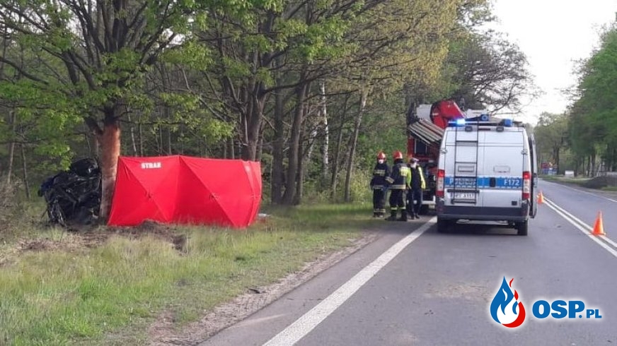 Audi złamało się na pół po zderzeniu z drzewem. Zginął 19-letni kierowca. OSP Ochotnicza Straż Pożarna