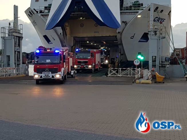 Polscy strażacy wrócili ze Szwecji. "To był niezwykle trudny czas". [WIDEO Z PRZYWITANIA] OSP Ochotnicza Straż Pożarna