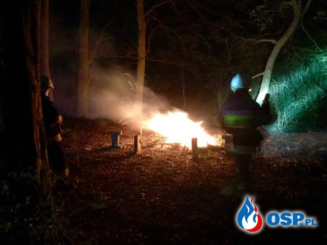 46/2019 Duze ognisko w srodku parku OSP Ochotnicza Straż Pożarna