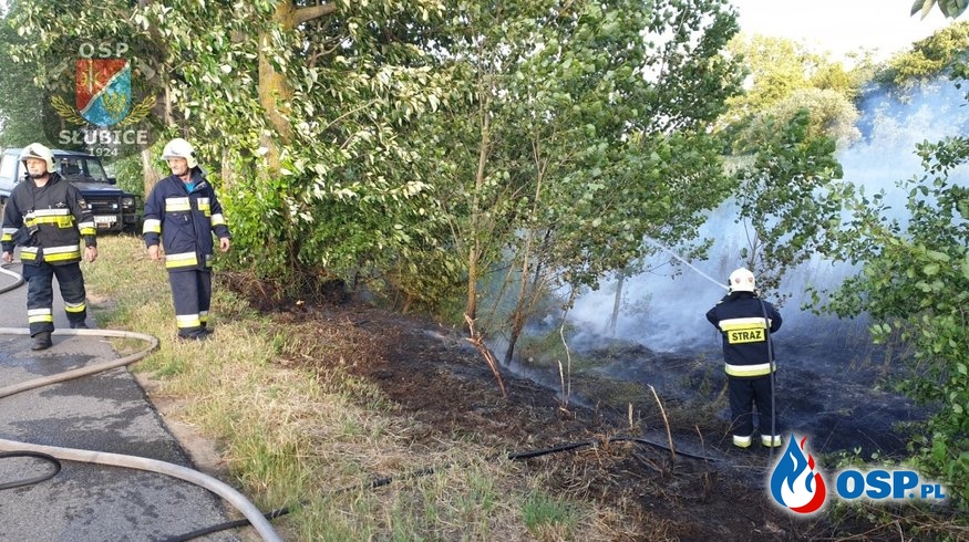 Gęste zadymienie spowodowane pożarem trawy OSP Ochotnicza Straż Pożarna