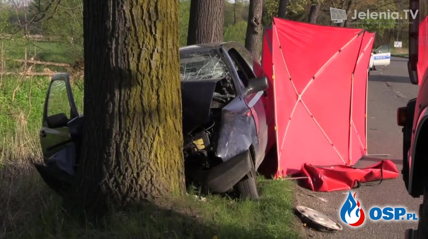Tragiczny wypadek w Jeleniej Górze. 43-letnia kobieta wjechała golfem w drzewo. OSP Ochotnicza Straż Pożarna