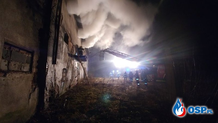 Pożar byłego PGR-u w Turzy Śląskiej. OSP Ochotnicza Straż Pożarna