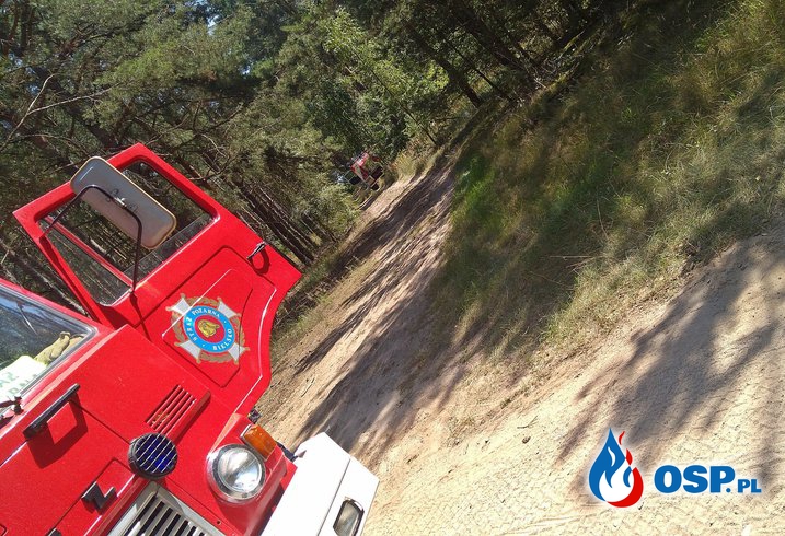 Pożar lasu w Ostrowie OSP Ochotnicza Straż Pożarna