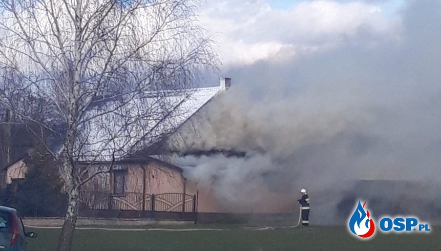 Pożar domu w Osłowie. W akcji 10 zastępów strażaków. OSP Ochotnicza Straż Pożarna