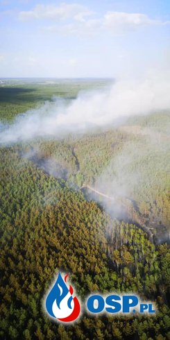 200 strażaków, 55 zastępów i 3 samoloty gaśnicze w akcji. Spłonęło prawie 100 hektarów lasu. OSP Ochotnicza Straż Pożarna