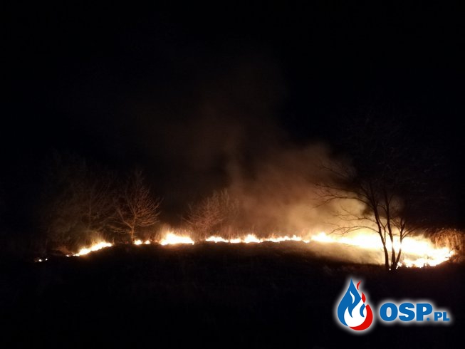 Pożar traw - Bytnica 02.04.2018/03.04.2018 OSP Ochotnicza Straż Pożarna