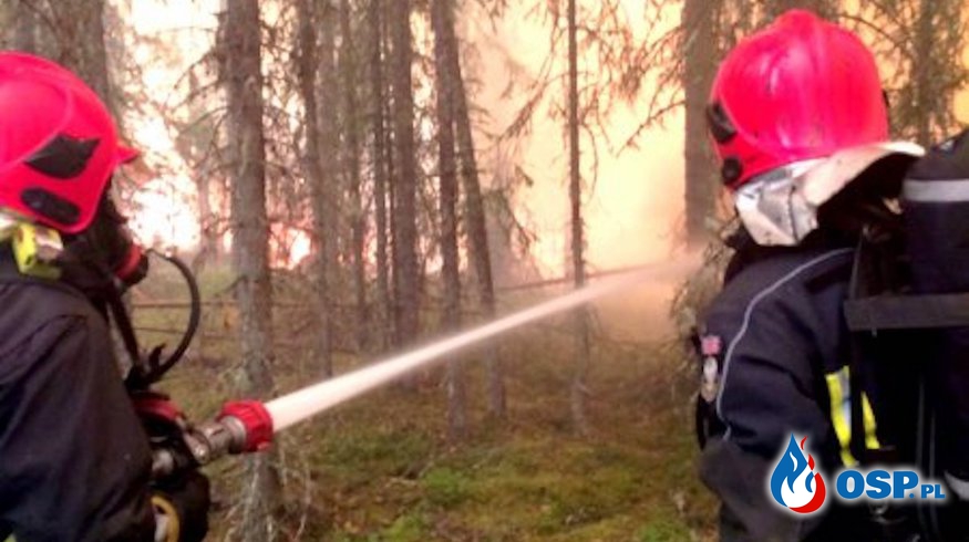 W Szwecji spadł deszcz, ale pożar podchodzi pod polską linię obrony! OSP Ochotnicza Straż Pożarna