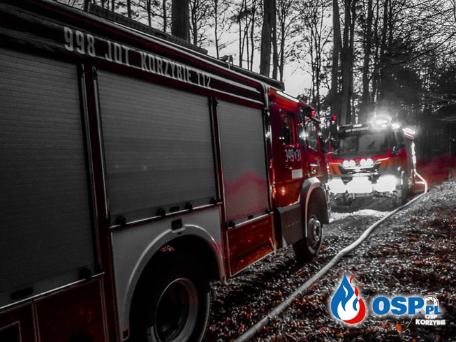 Pożar Lasu Warcino-Ciecholub OSP Ochotnicza Straż Pożarna