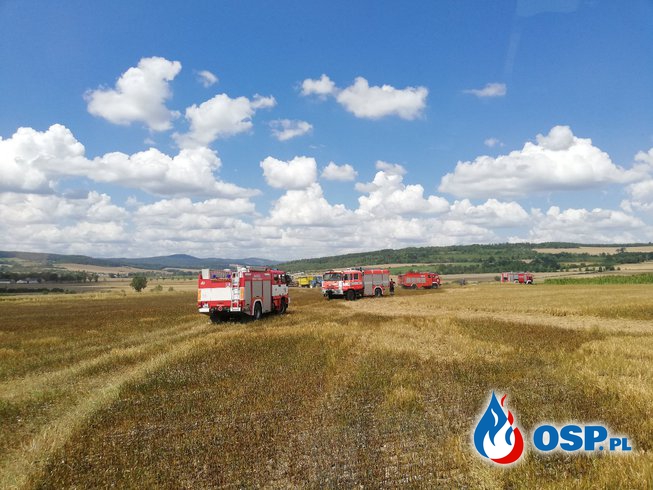 Pożar zboża na granicy PL-CZ OSP Ochotnicza Straż Pożarna