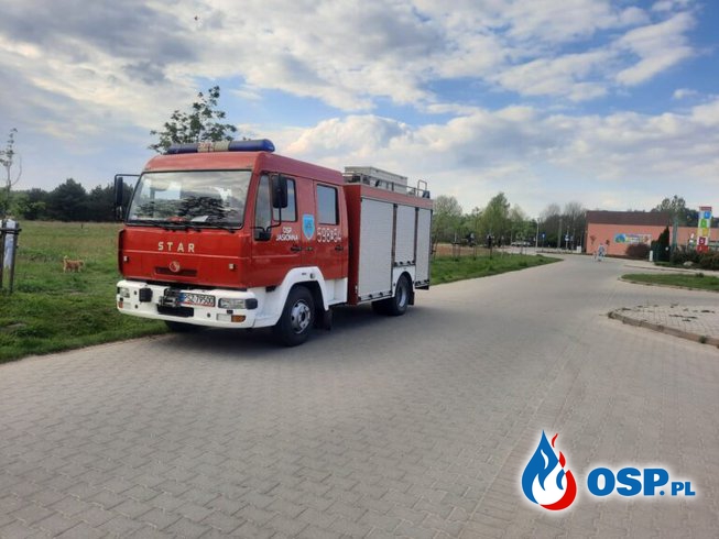 Wronki – Dzień Strażaka OSP Ochotnicza Straż Pożarna