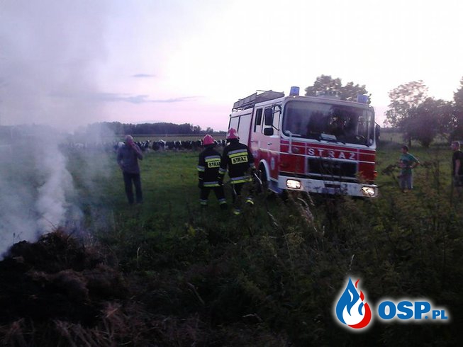 Nasze działania w sierpniu 2014r. OSP Ochotnicza Straż Pożarna