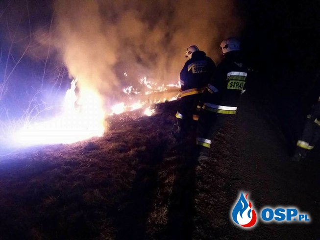 Pożar Traw ( Droga Wojewódzka nr 139) OSP Ochotnicza Straż Pożarna