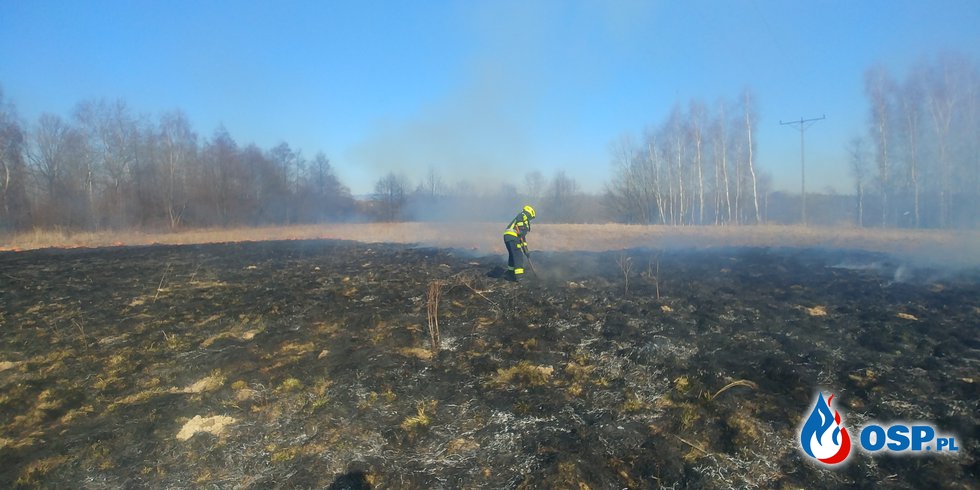 Pożar suchych traw w Zręcinie przy ul. Jesionowej OSP Ochotnicza Straż Pożarna